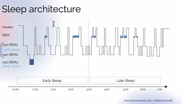 Hypnosis for insomnia - Sleep architecture