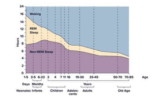 Hypnosis for insomnia - risk factors ageing